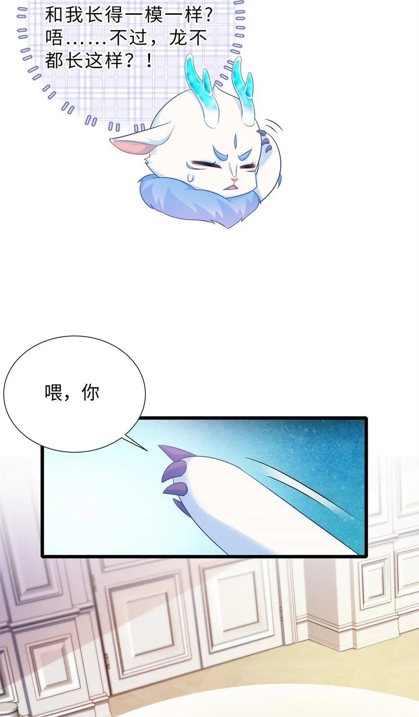 14 小Q龙上线~24
