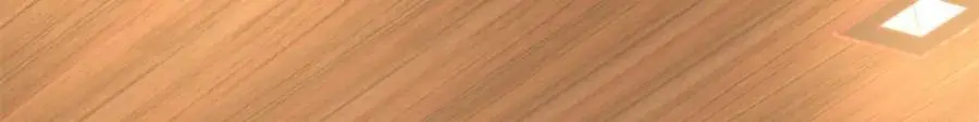 49 身体比嘴巴诚实101