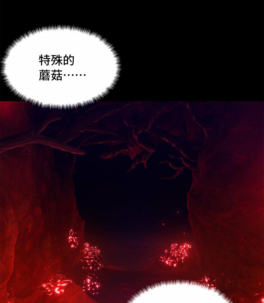 第31片 丛林探险36