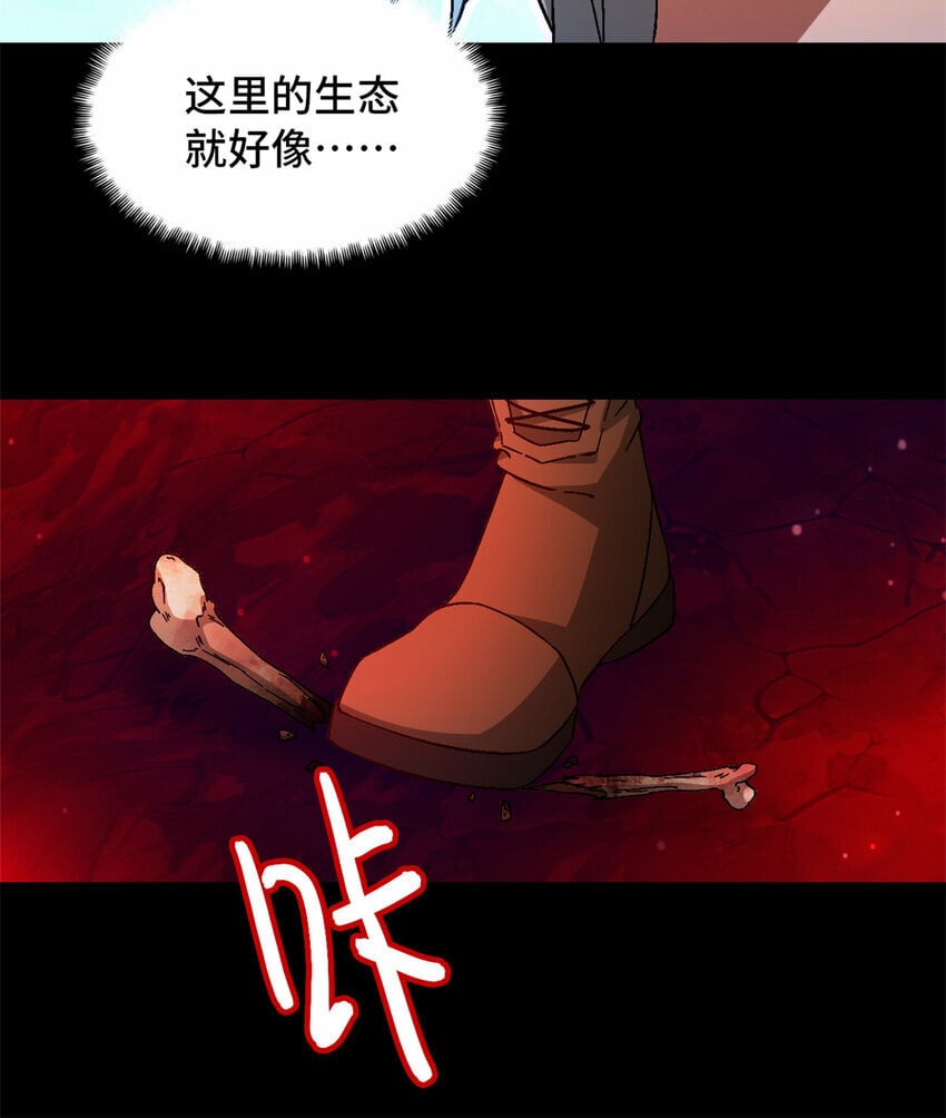 第31片 丛林探险38