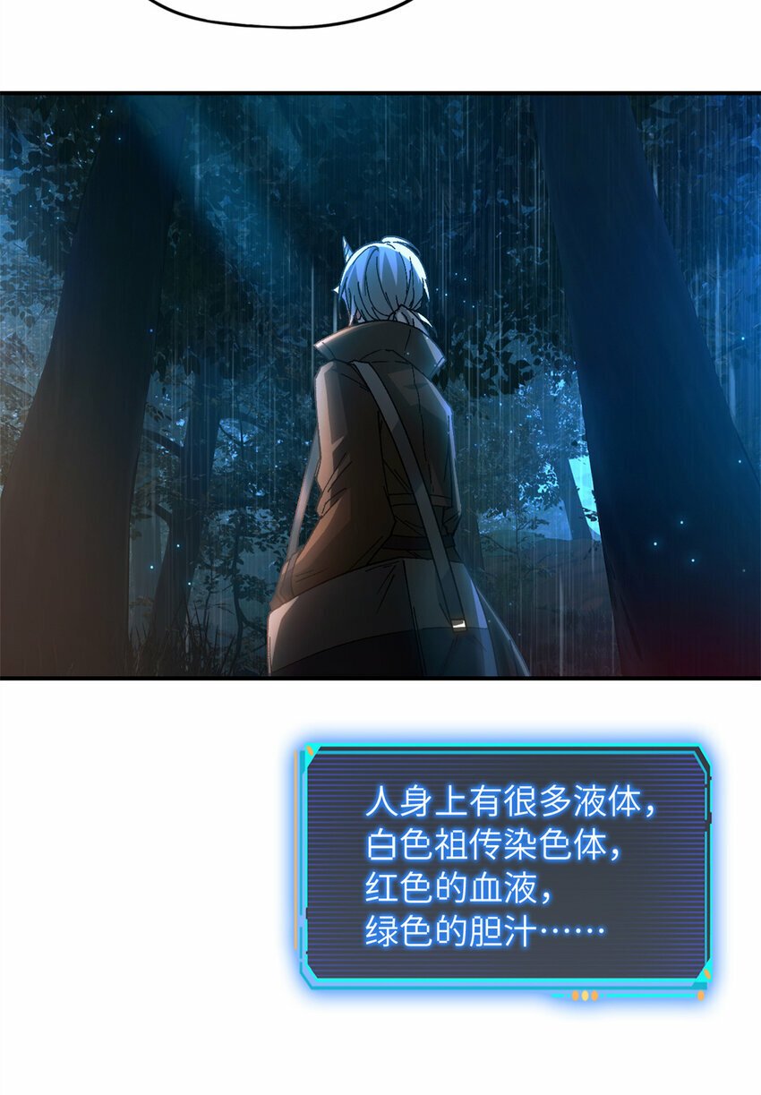 第31片 丛林探险67