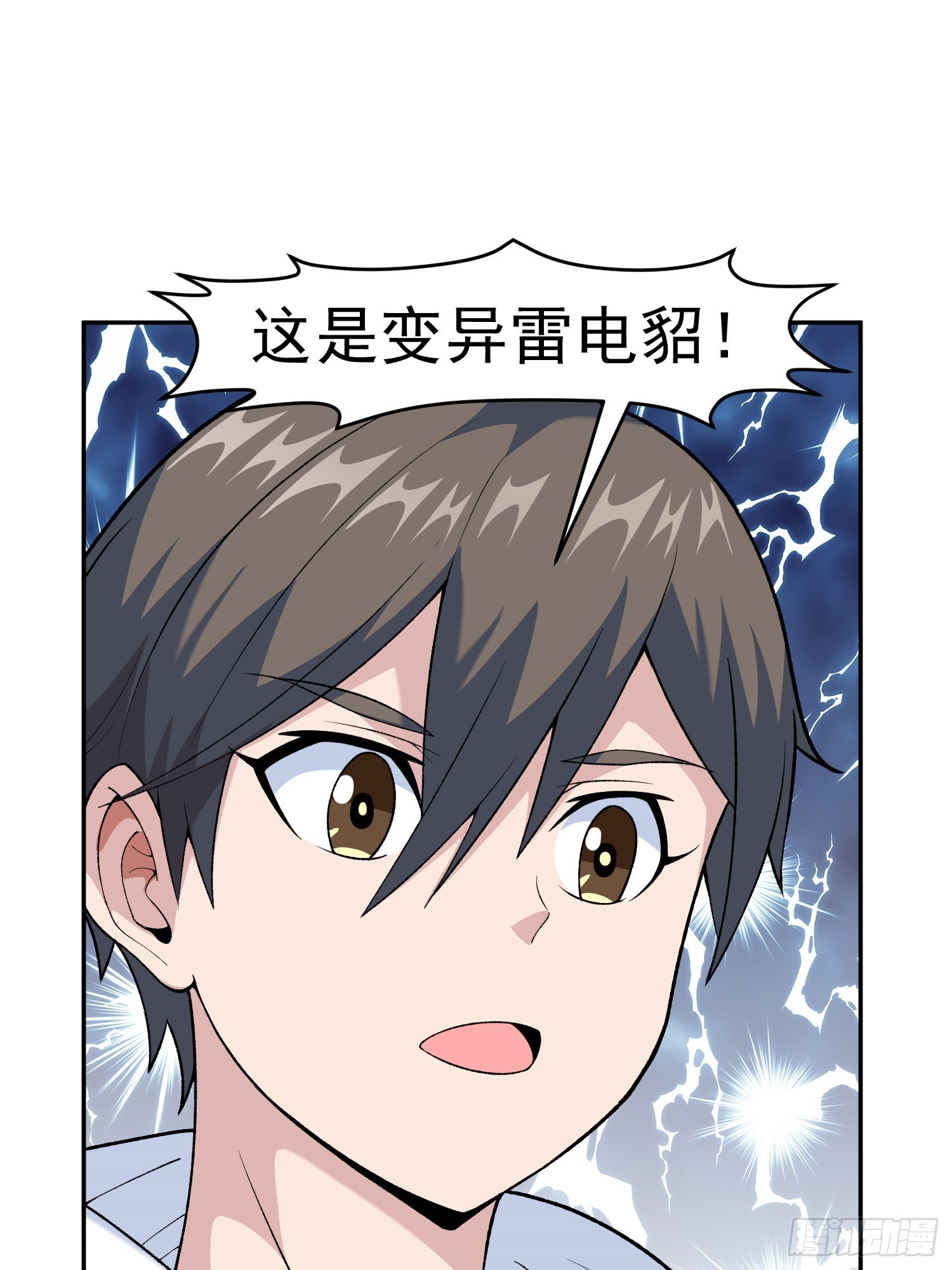 第10话 雷电貂？2