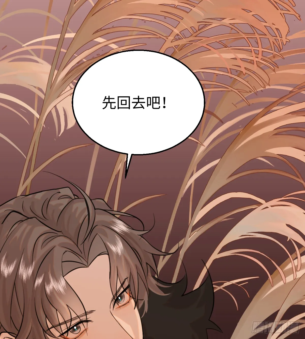 15.我是你的人46