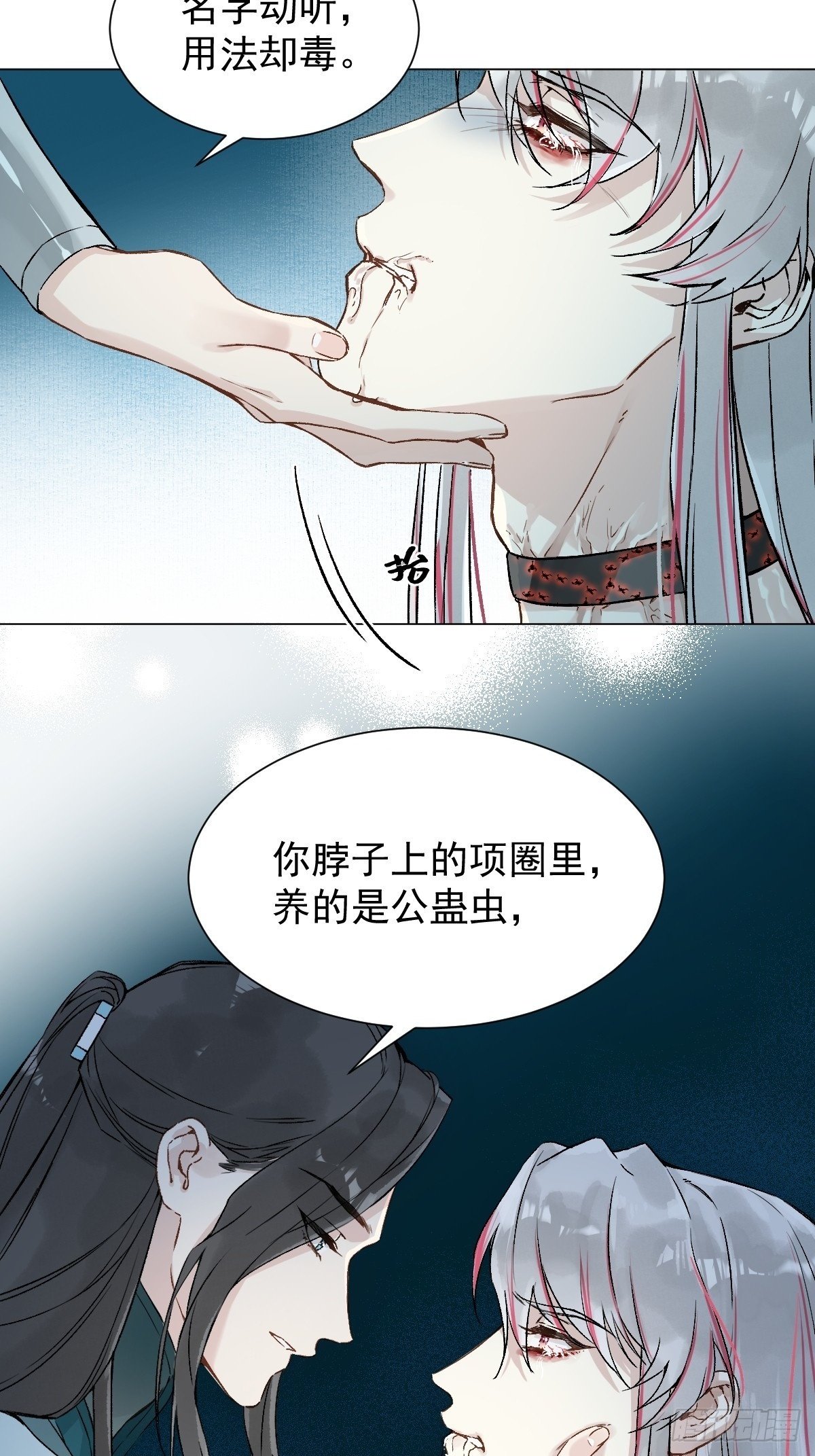 029 项圈49