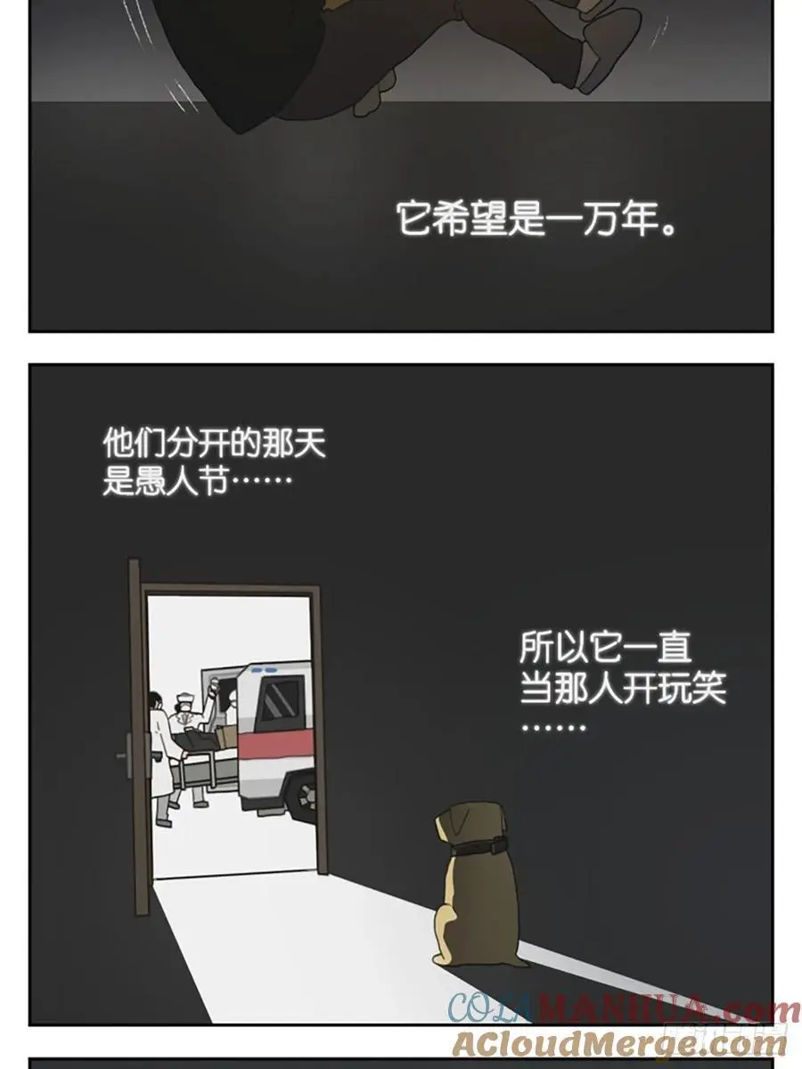 凤梨罐头2