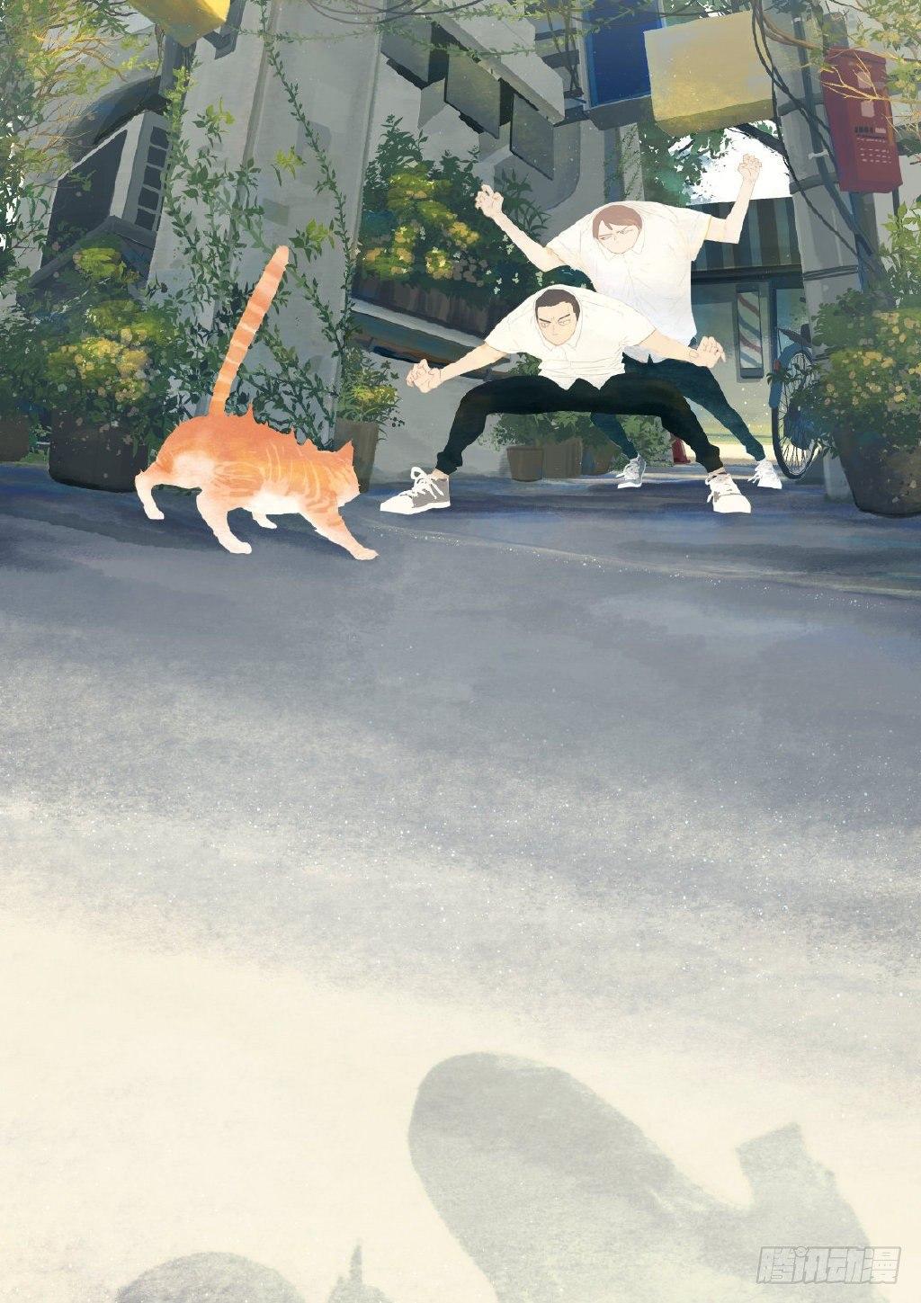 头像来了6