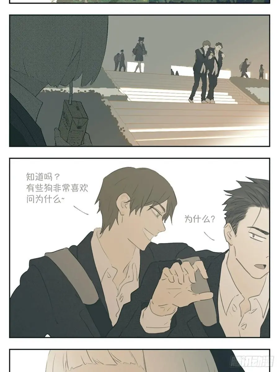 雨伞1