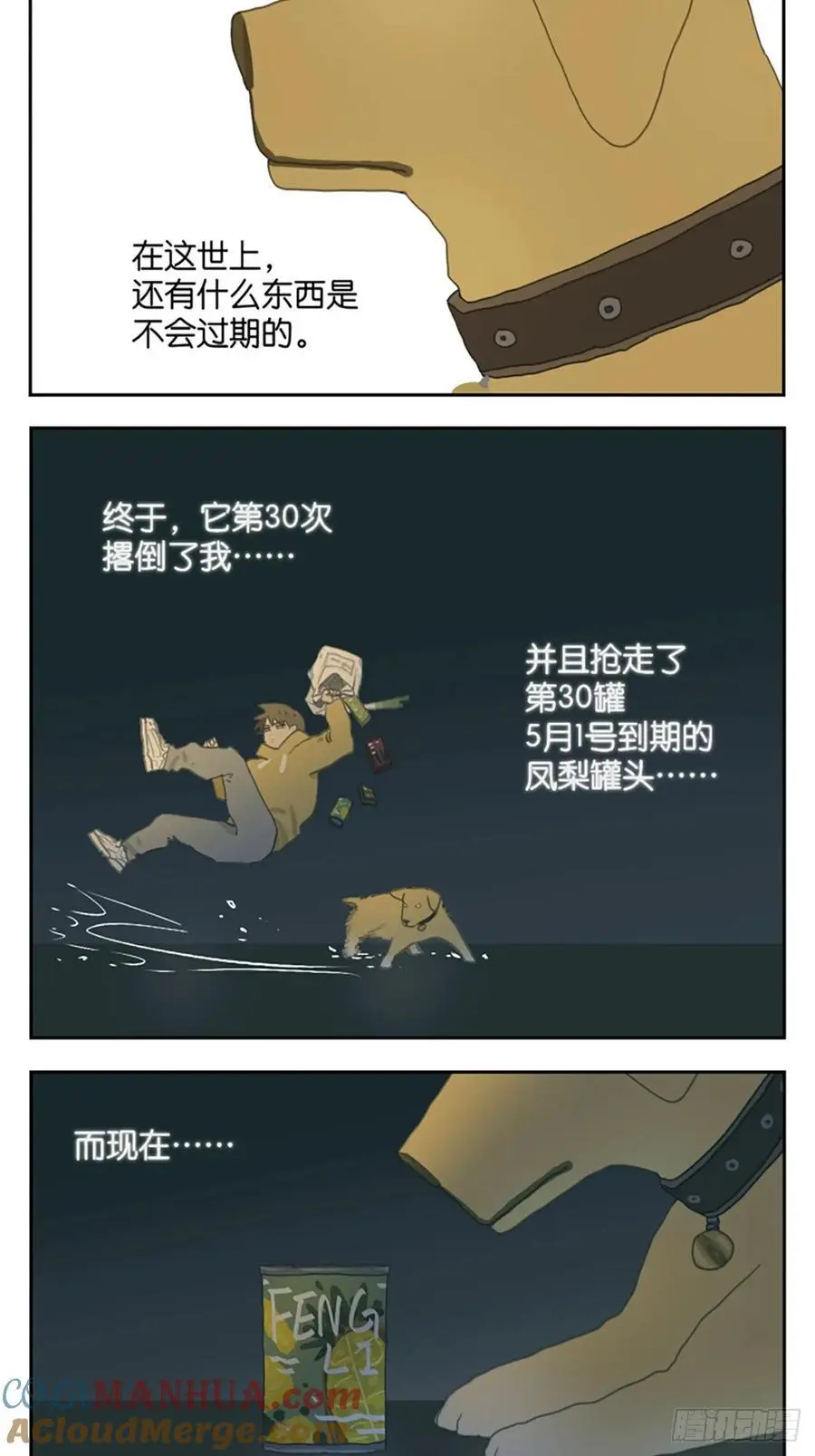 凤梨罐头6