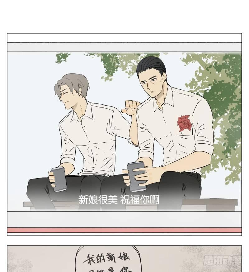 普通的日子3