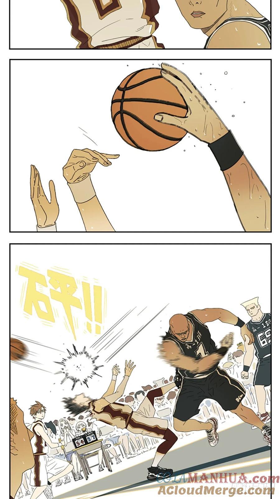 打篮球5