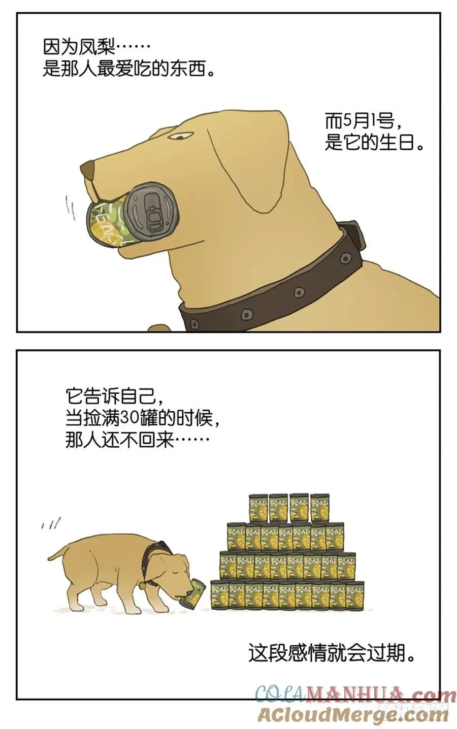 凤梨罐头4