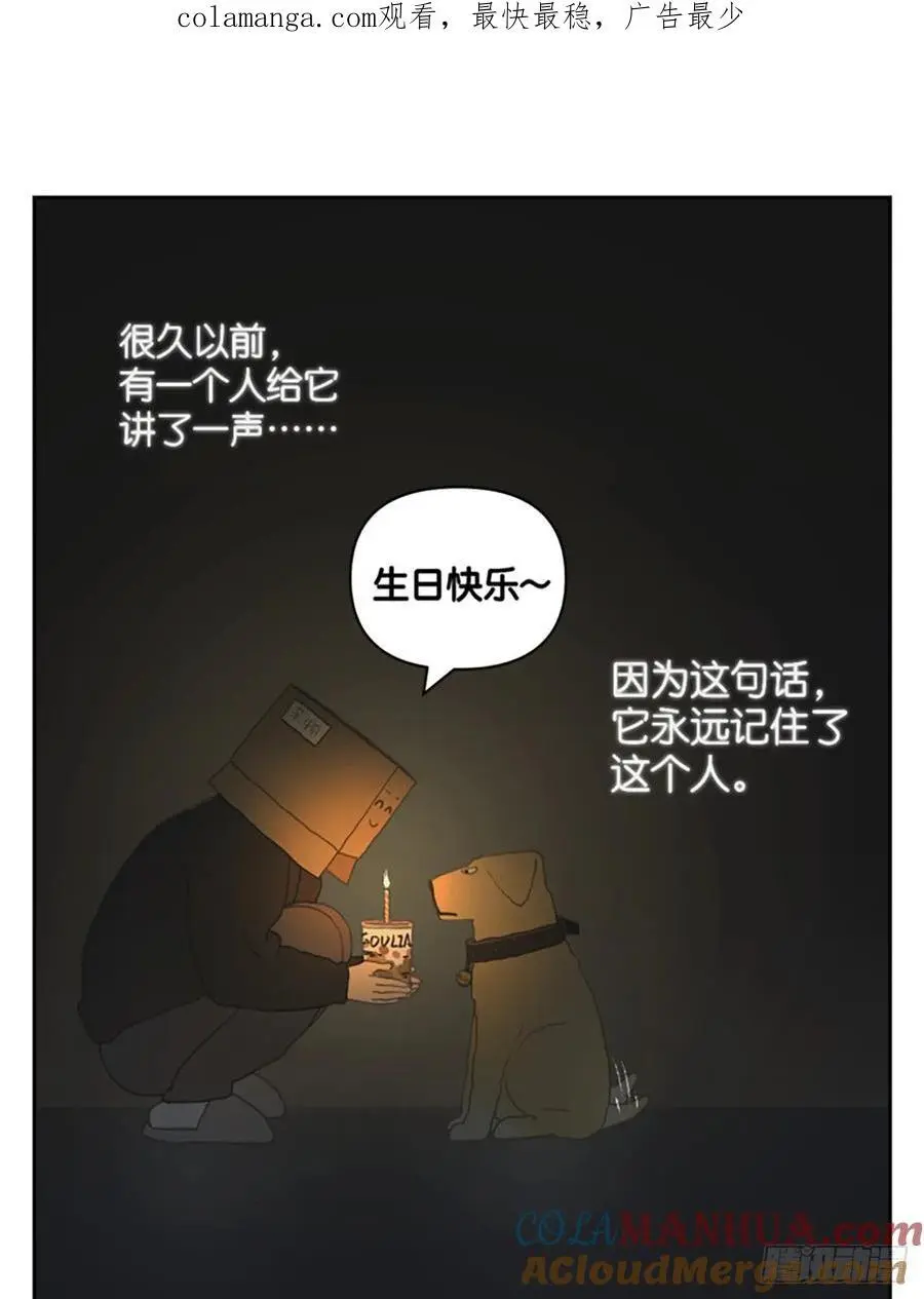 凤梨罐头0