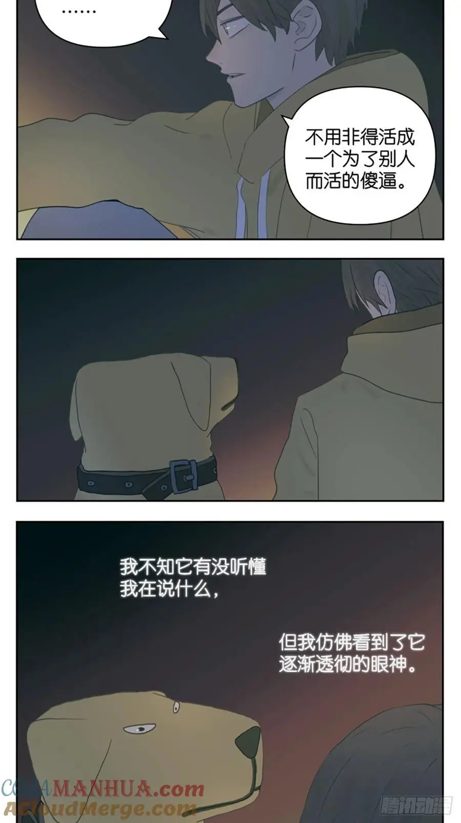 凤梨罐头9