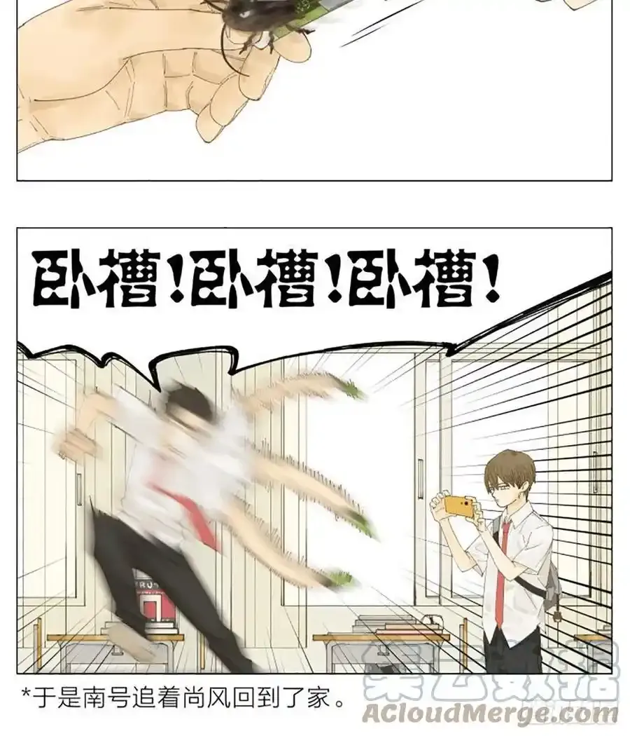放学后 213