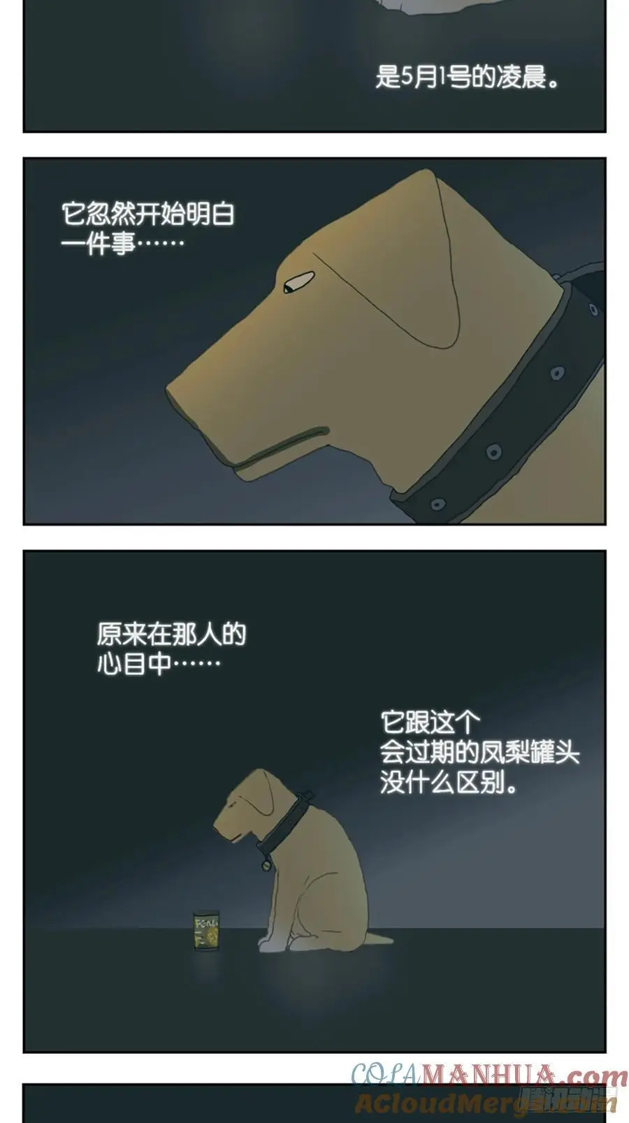 凤梨罐头7