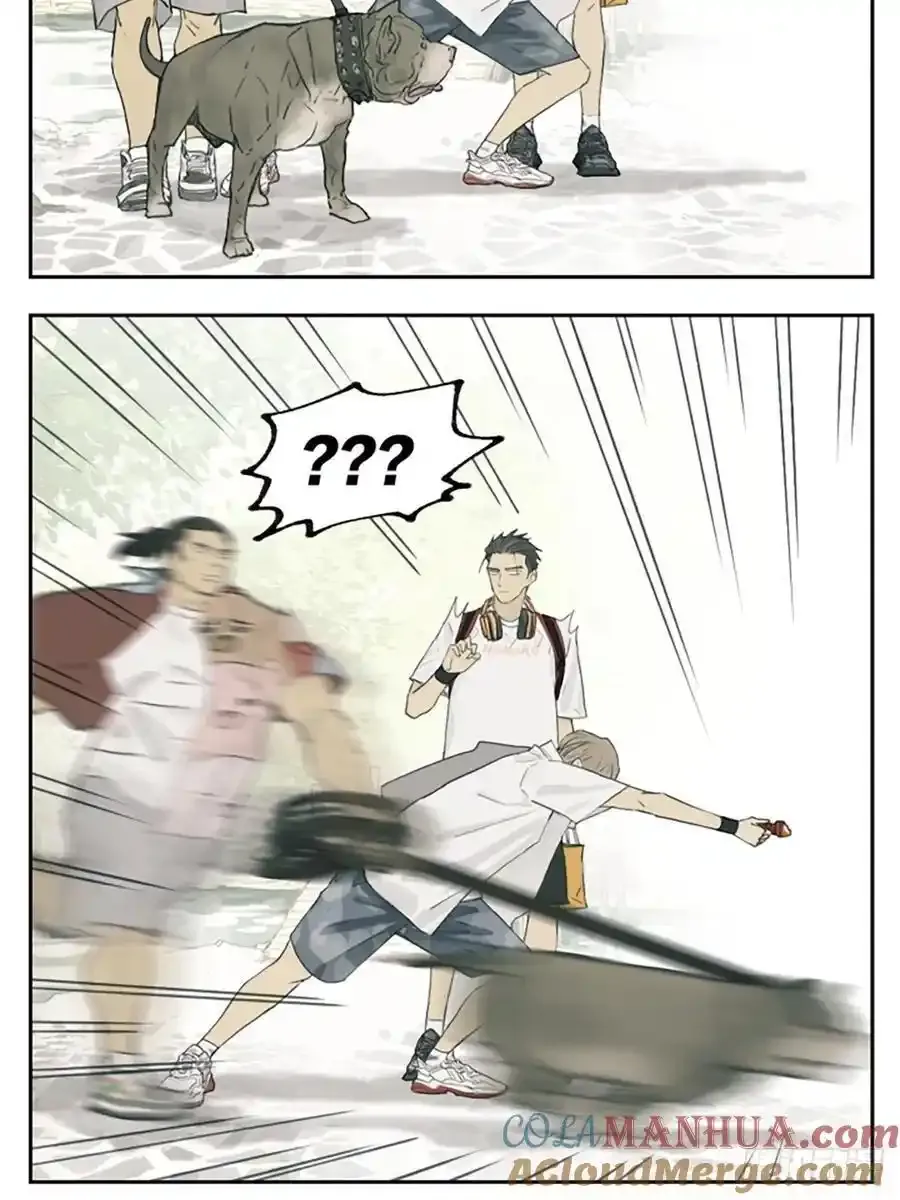 散步5