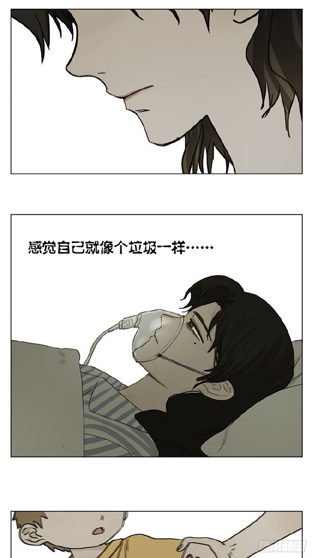 家人36