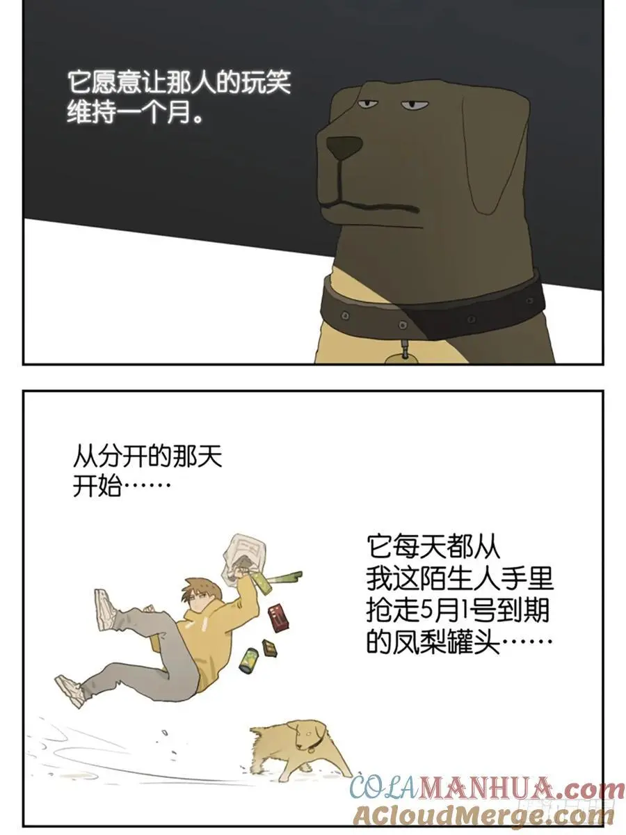 凤梨罐头3