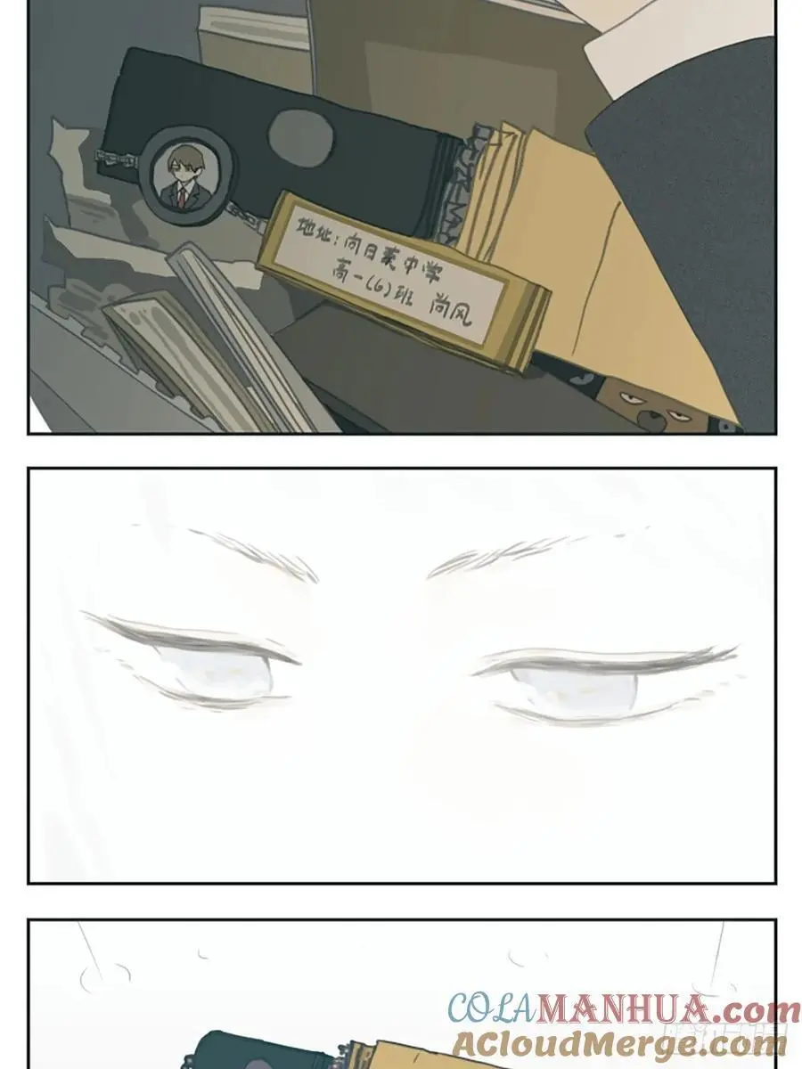 雨伞6