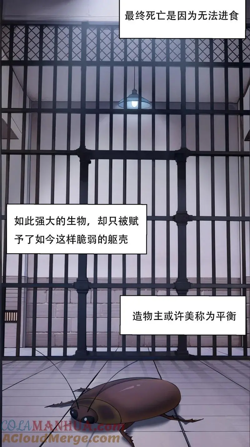 225 第216话12