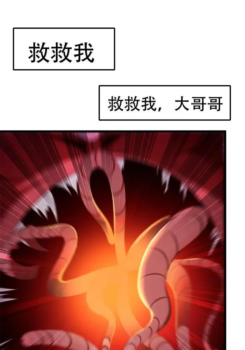 233 第224话4