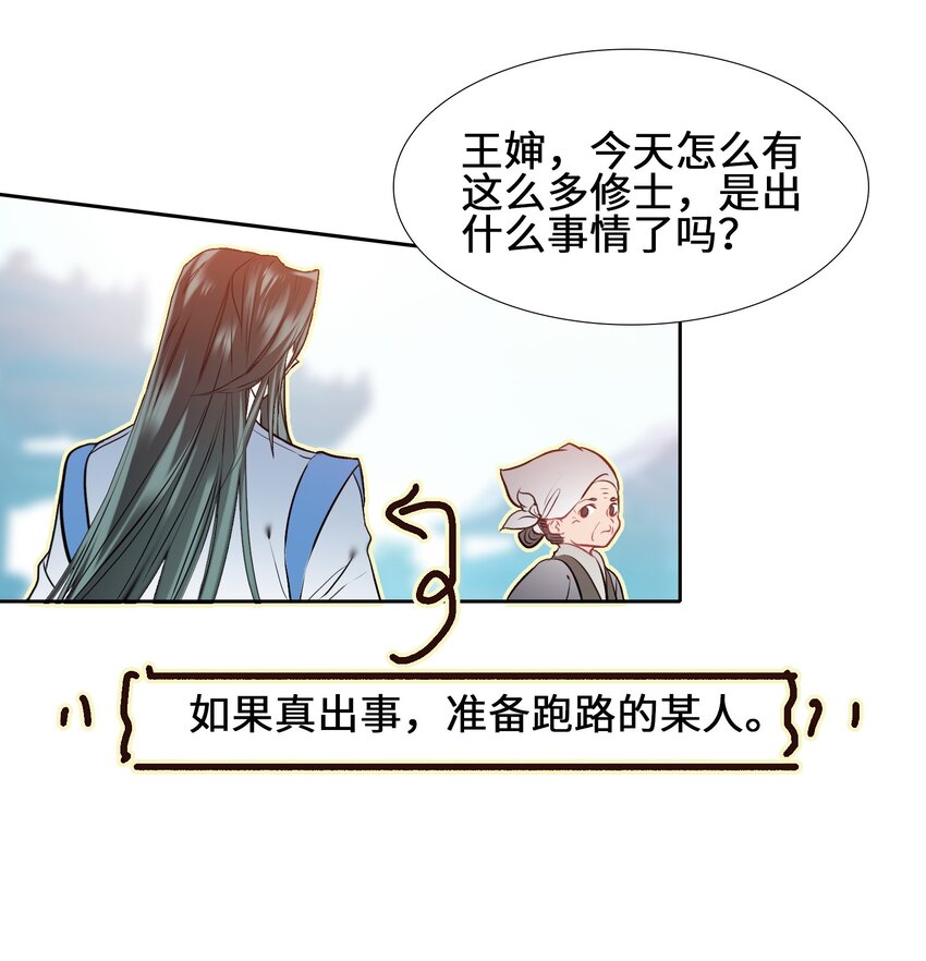 005 双凤31