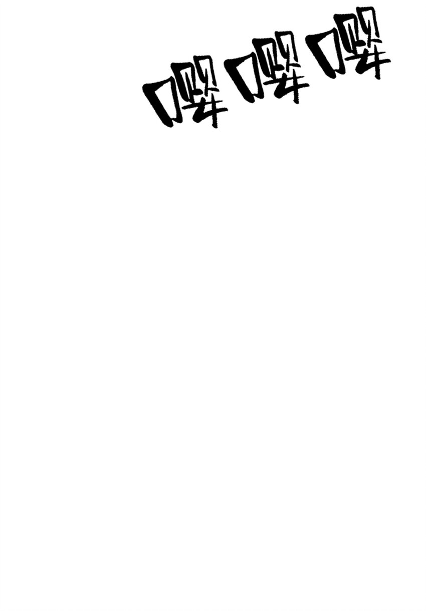 005 双凤50