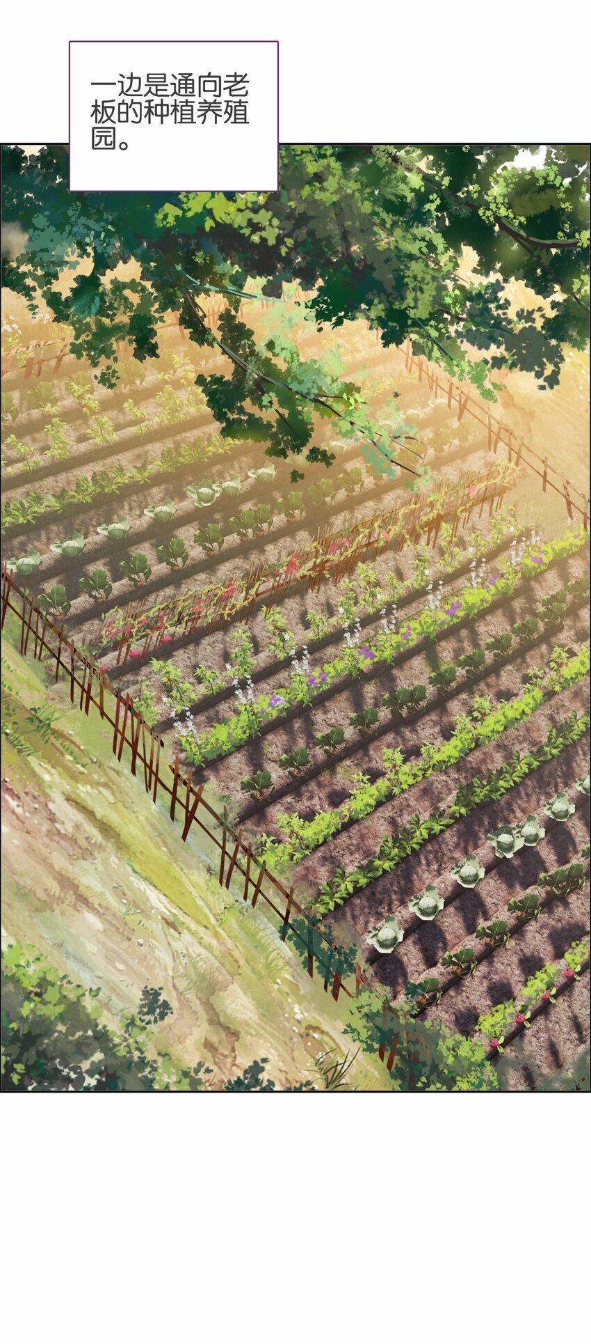 040.5 番外——小心翼翼姬某人11
