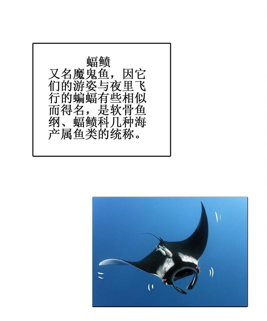 028 瑕疵品50