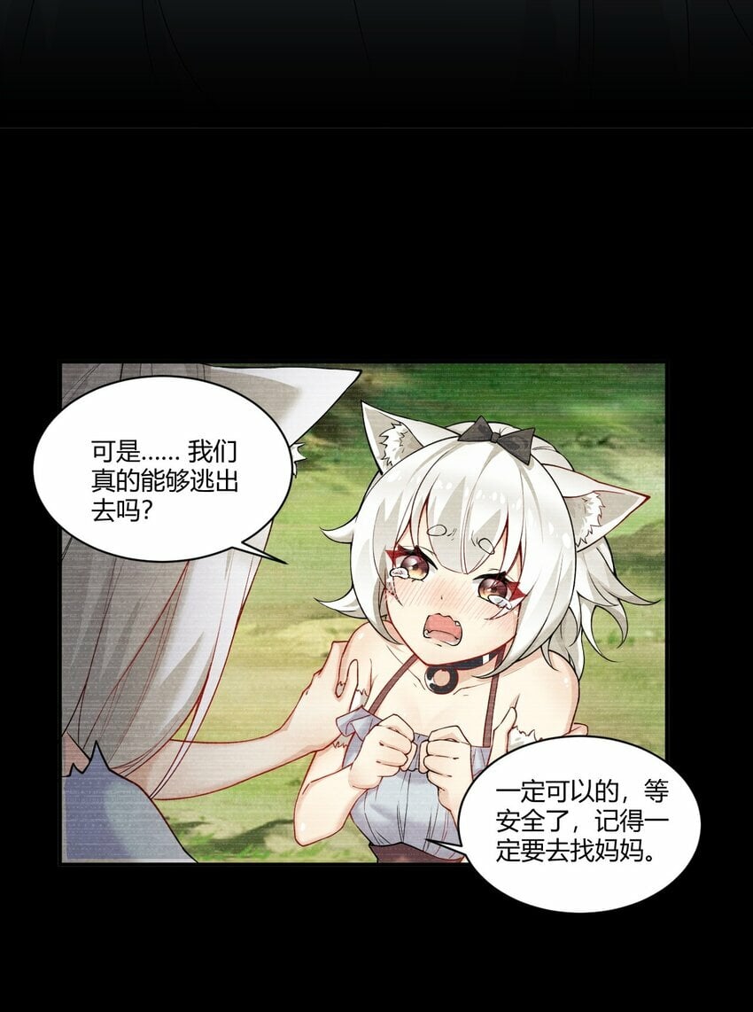 35 帕帕，觉醒！5