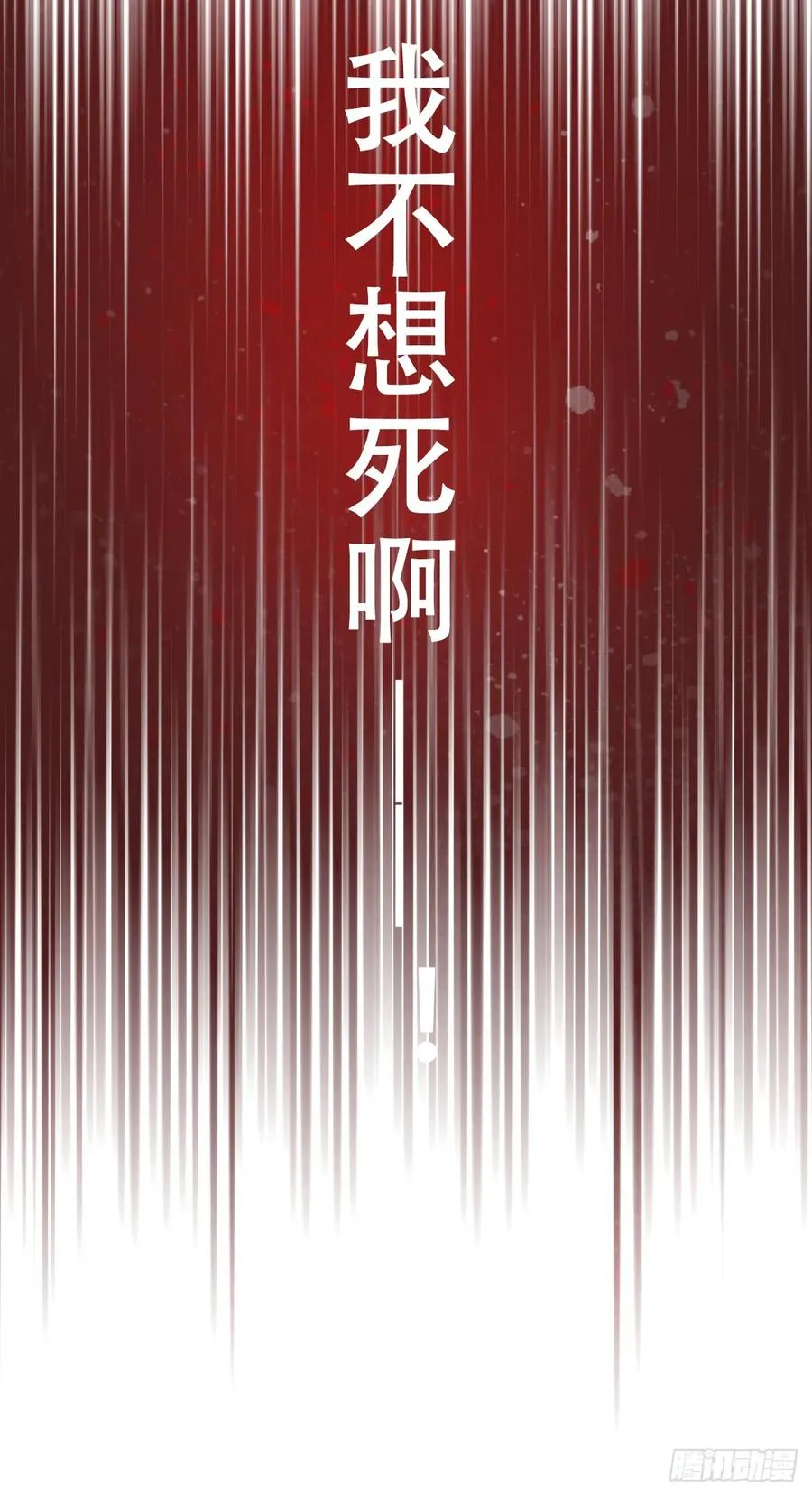 神官卡特31