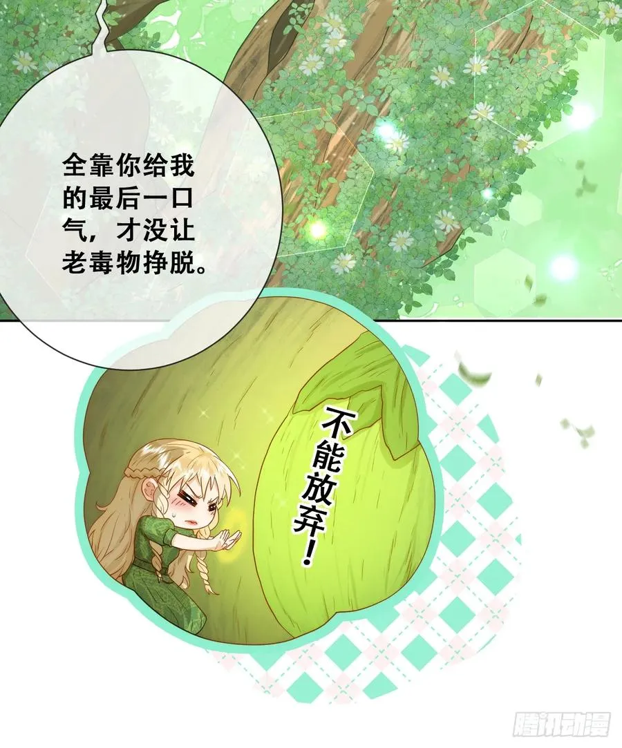 公主怎能没有王冠呢14
