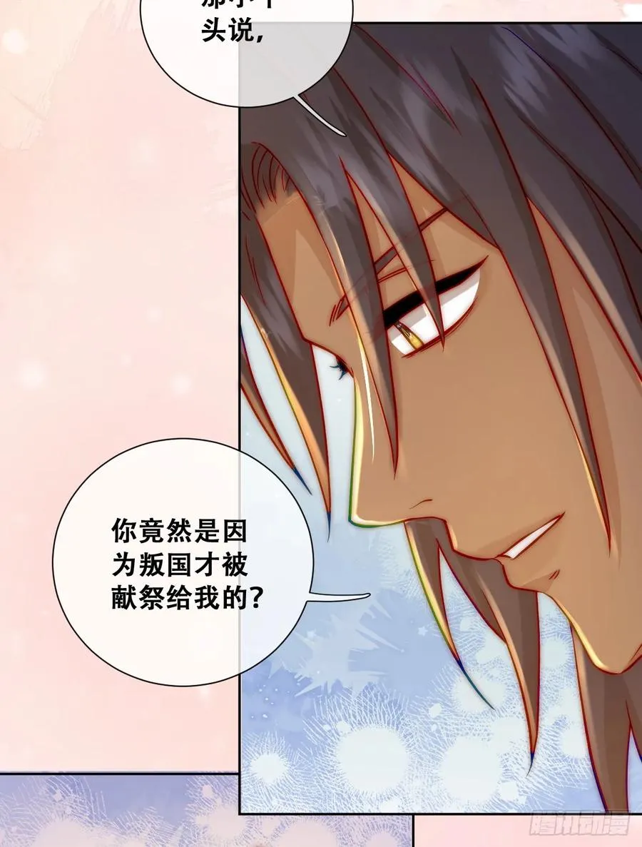 神官卡特16