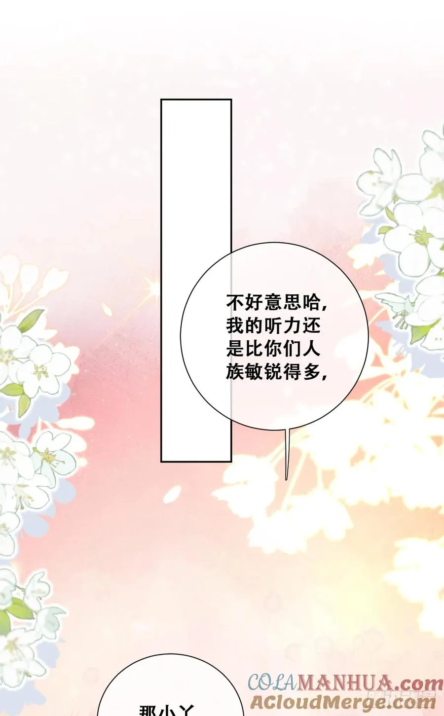 神官卡特15
