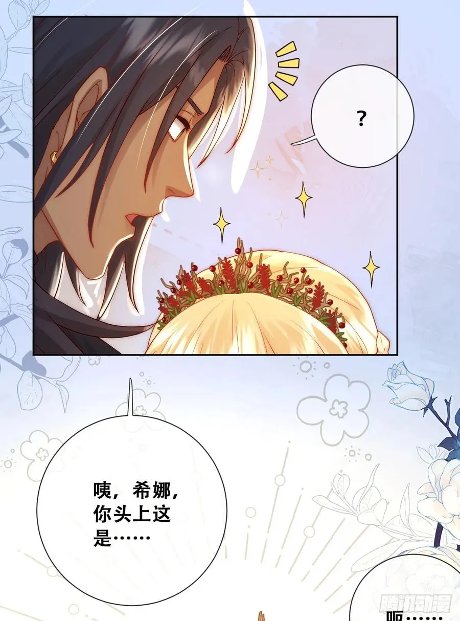 公主怎能没有王冠呢31