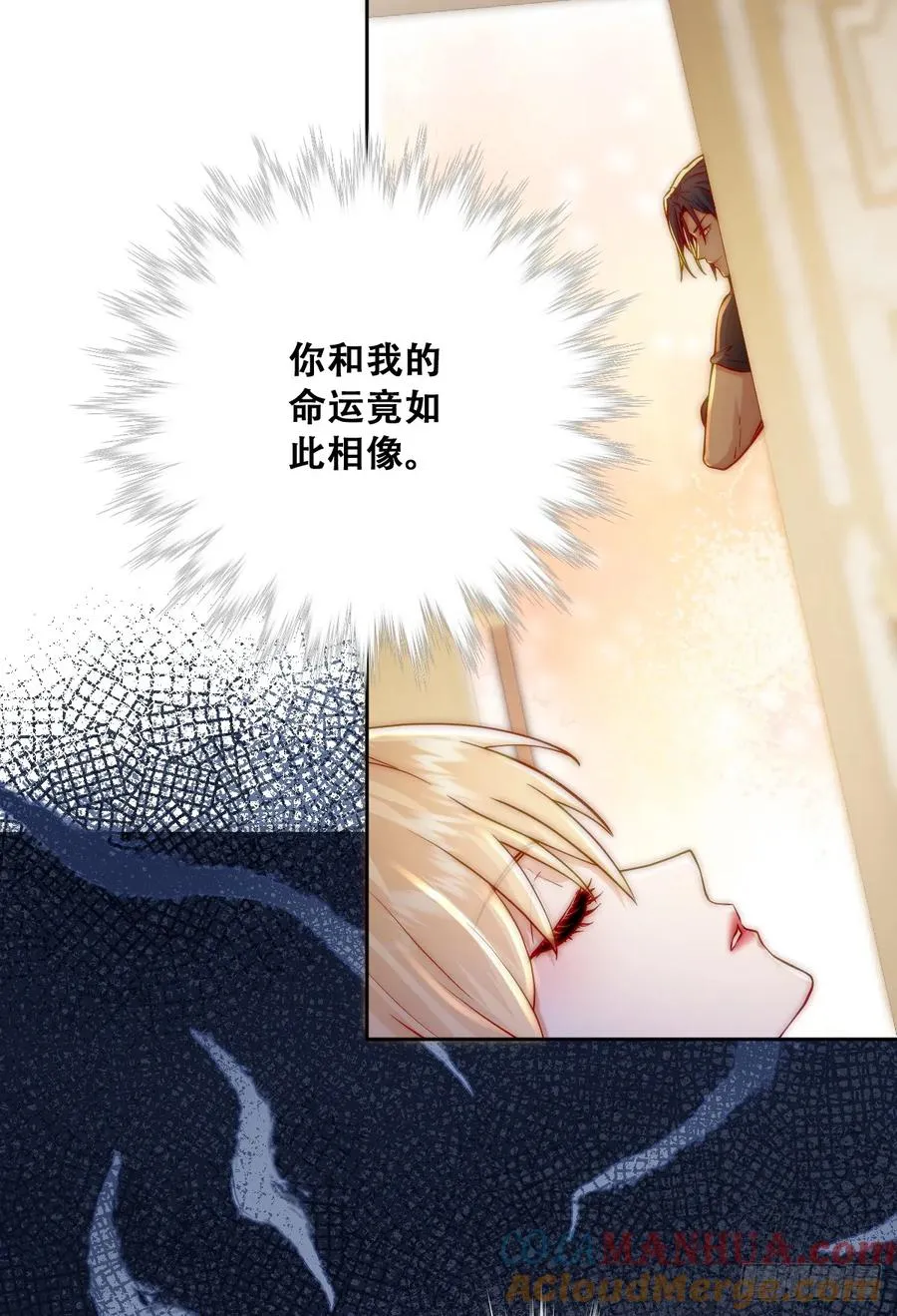 神官卡特24