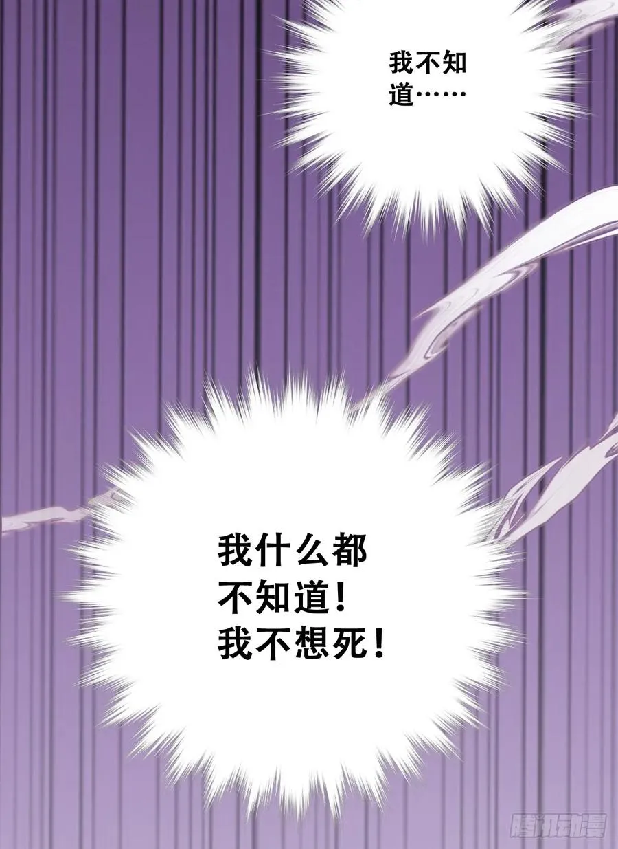 神官卡特34