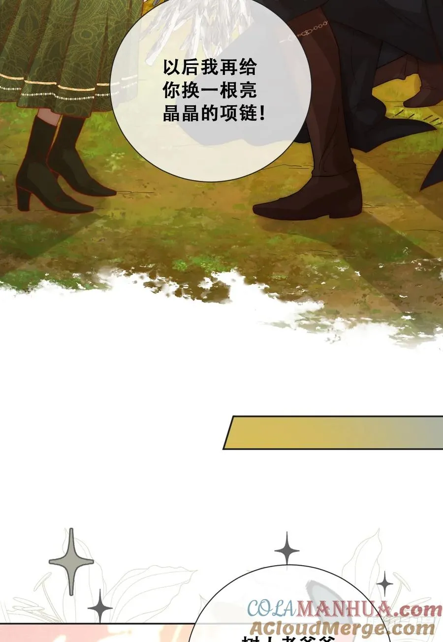 一颗亮晶晶���种子24