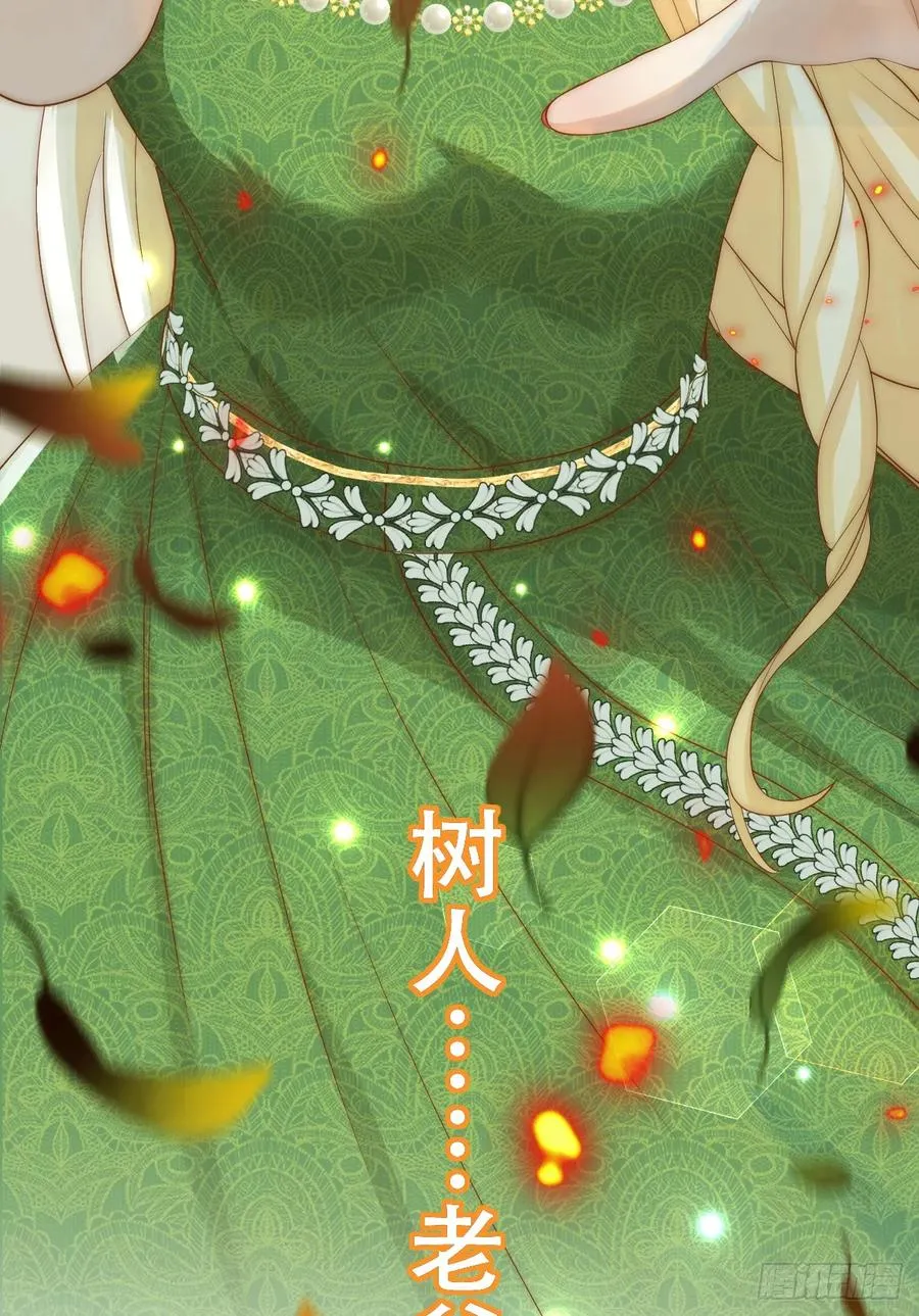 公主怎能没有王冠呢23