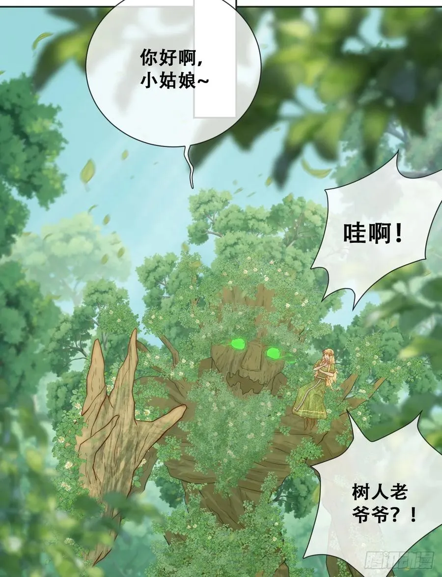 公主怎能没有王冠呢2