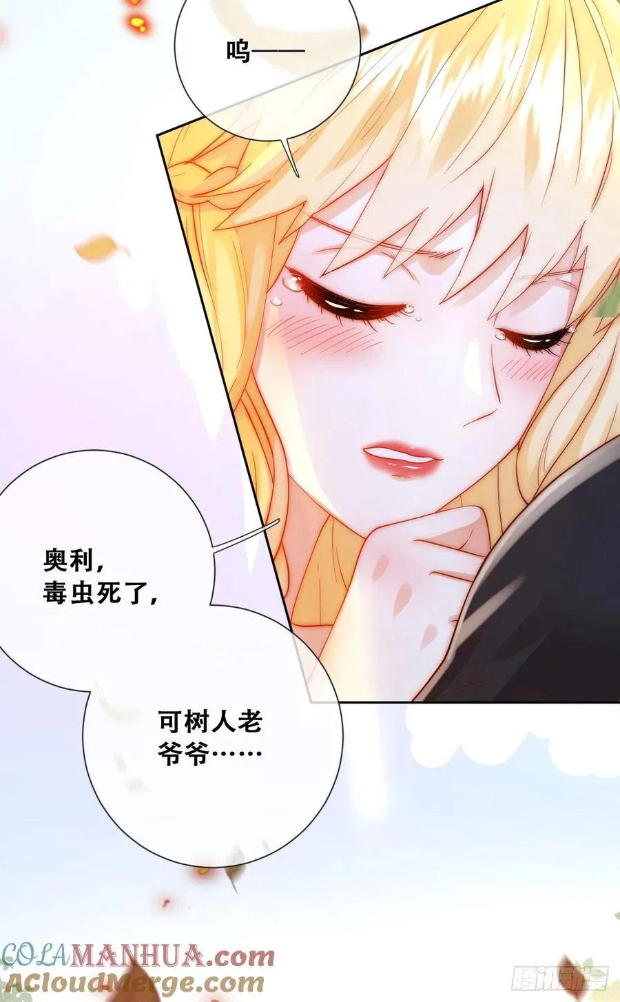公主怎能没有王冠呢27