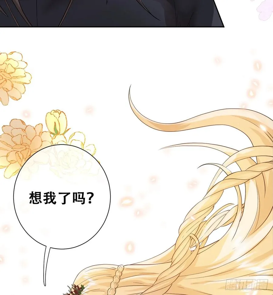 捡回野生小矮子13