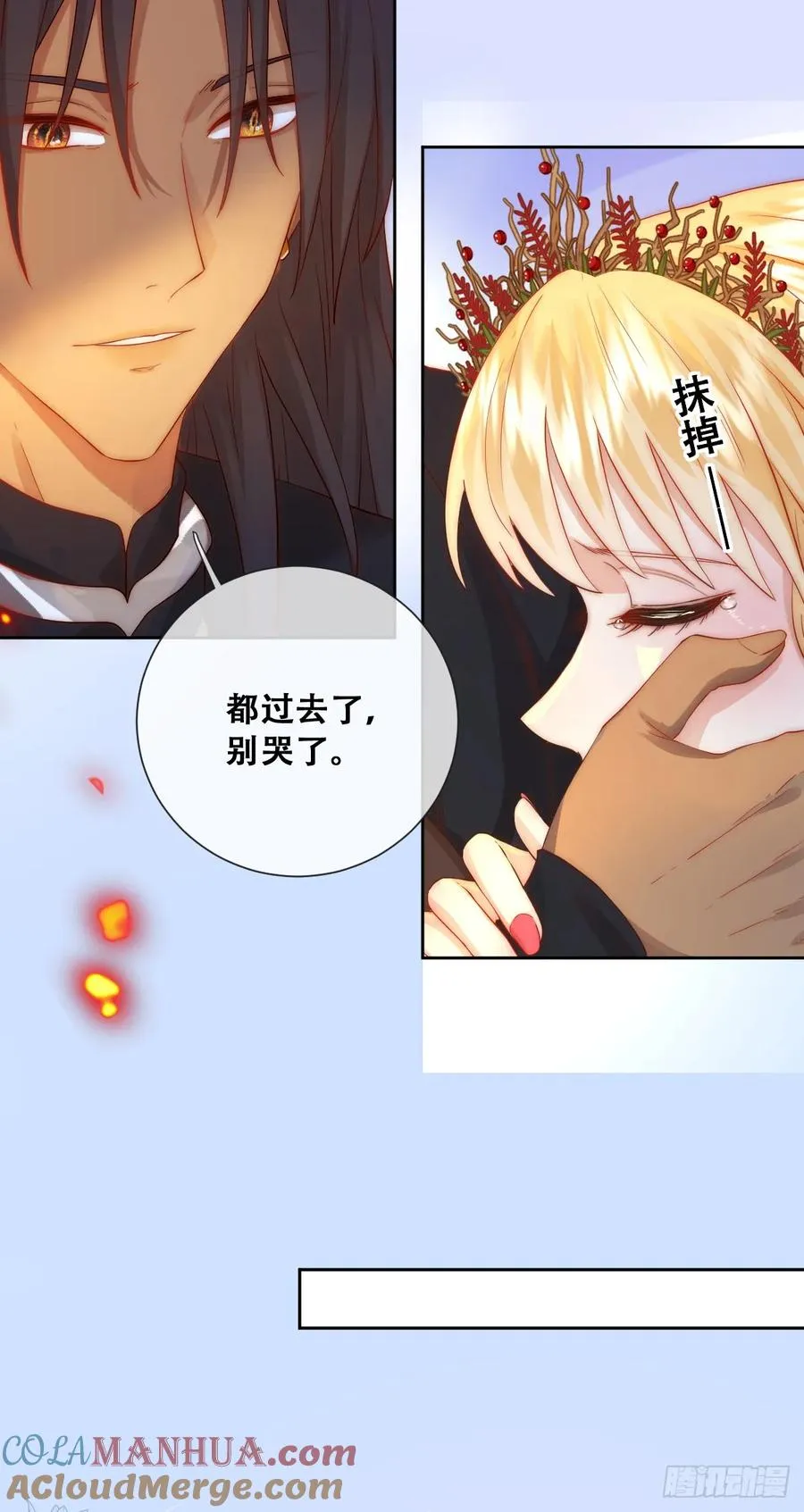 公主怎能没有王冠呢30