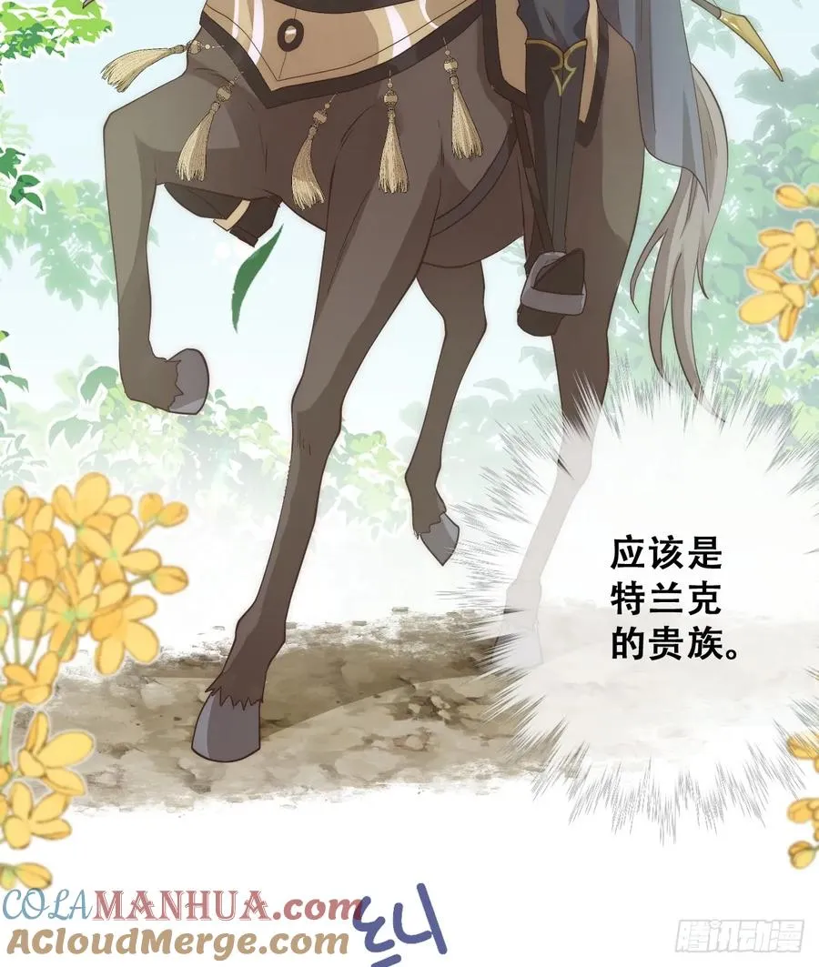 声名狼藉的贵族？36