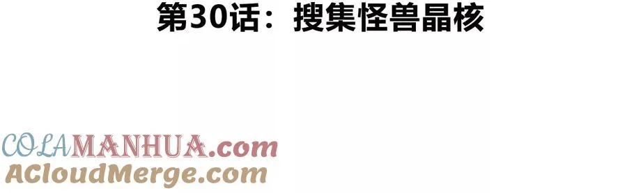 第30话 搜集怪兽晶核4
