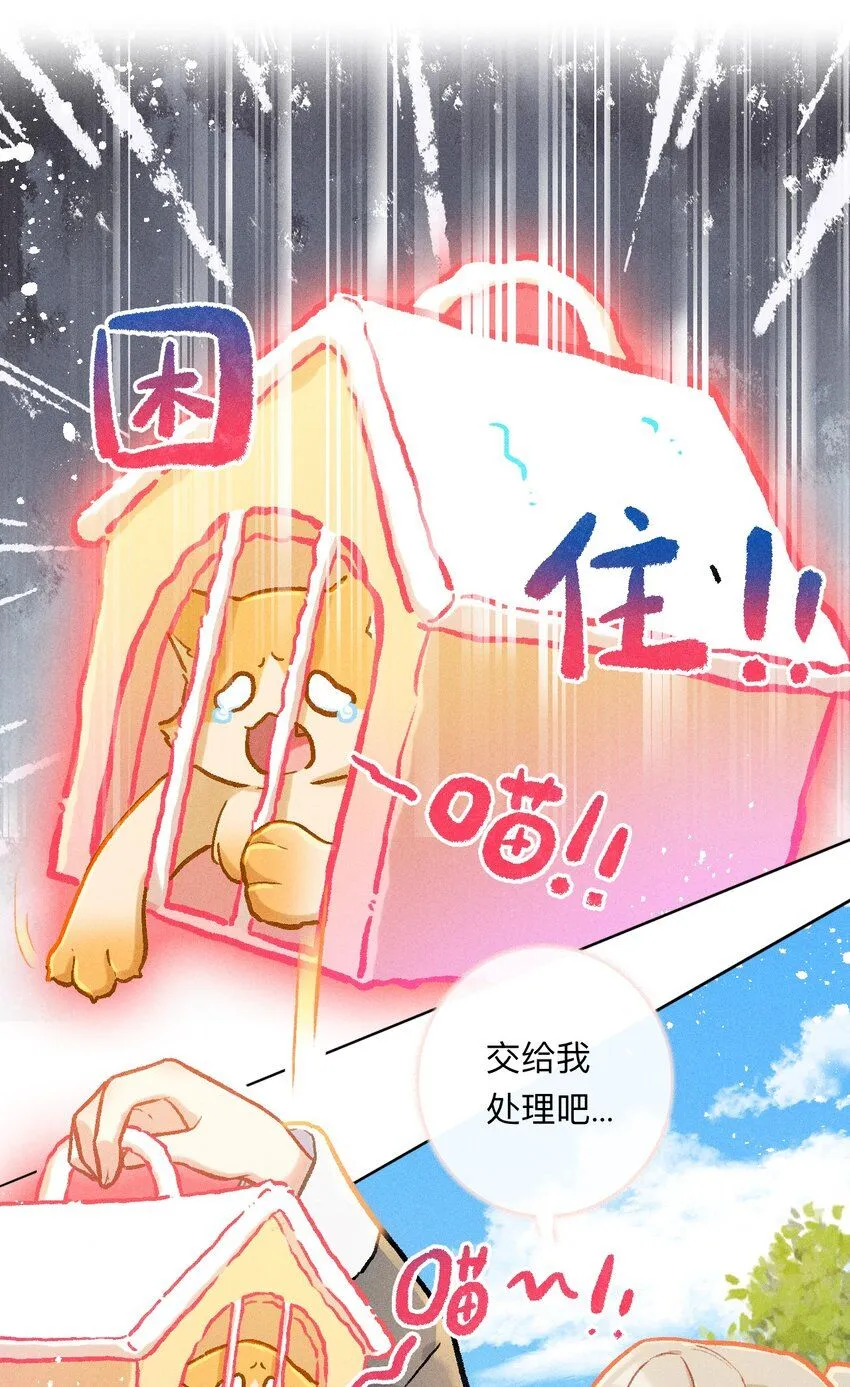 第45话 比试（二）16