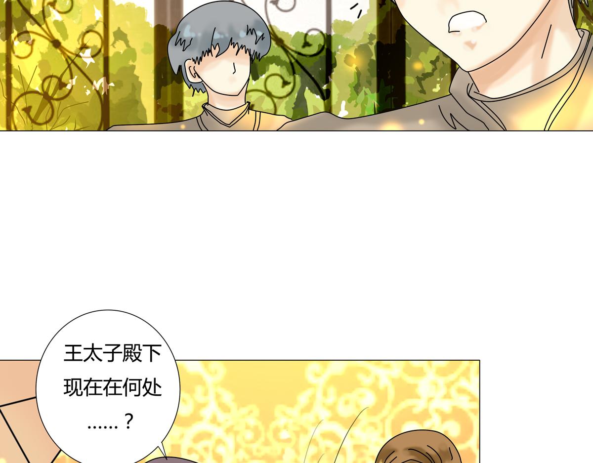 第四章 血蔷薇十7