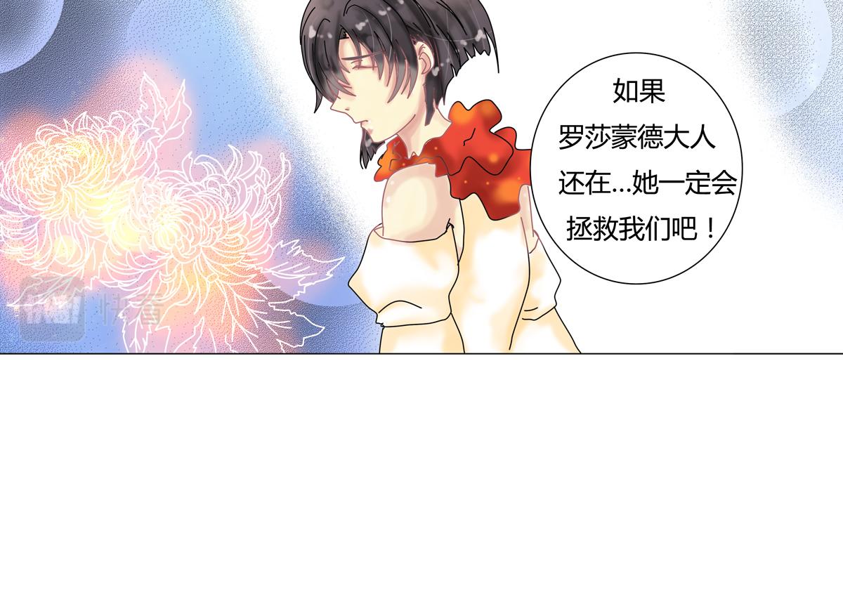 第四章 血蔷薇十19
