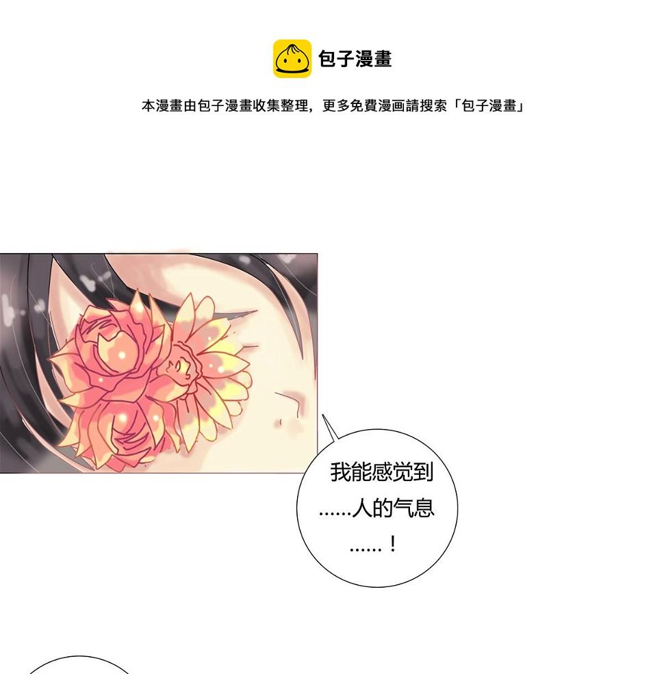 第四章 血蔷薇三0