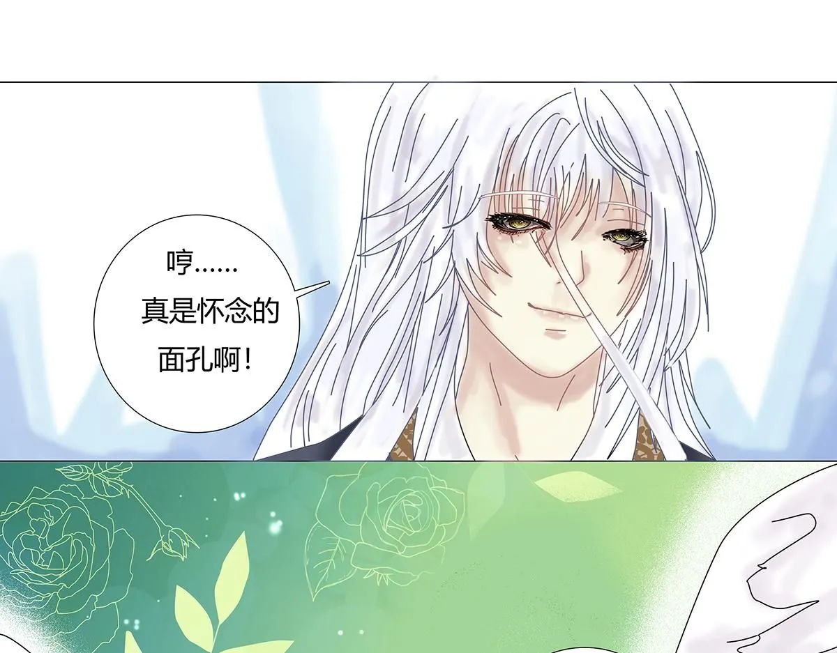 第八章 真实四5
